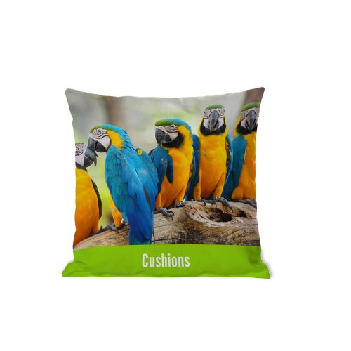 Bespoke Printed Cushions - The Big Display Company
