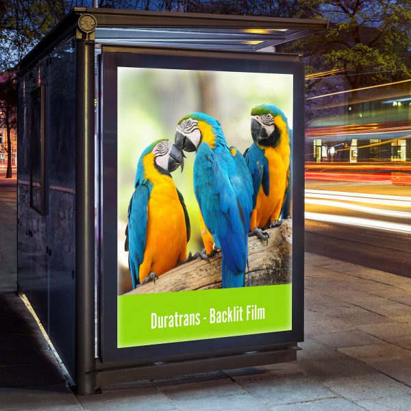 Posters