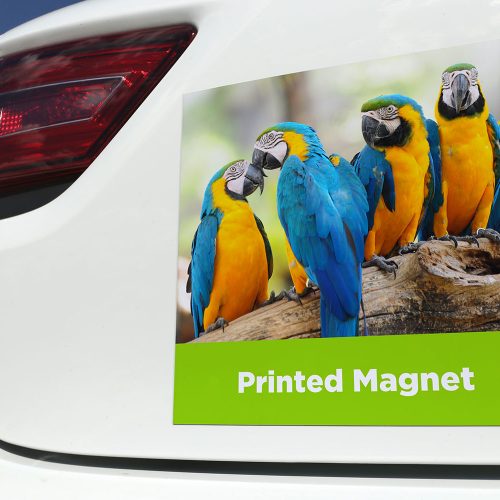 Custom Printed Magnet - The Big Display Company