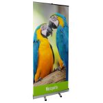 Mosquito Pull Up Banner - The Big Display Company