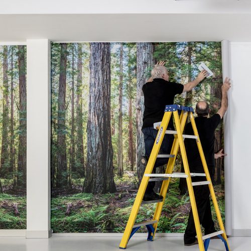 Digitally Printed Wallpaper - The Big Display Company