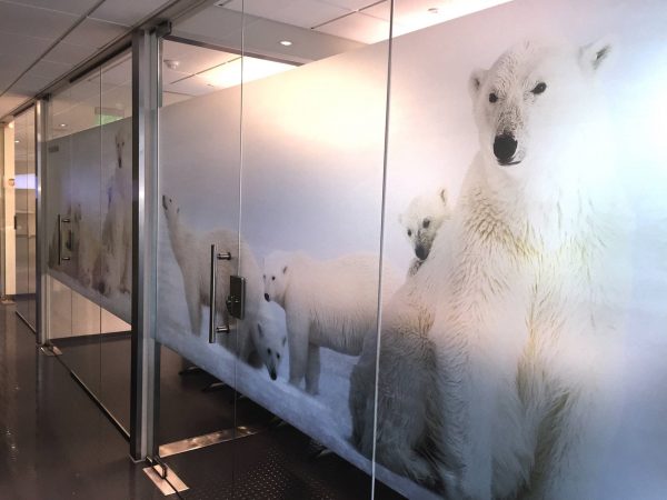 Printable Frosted Vinyl - AS/DFL300